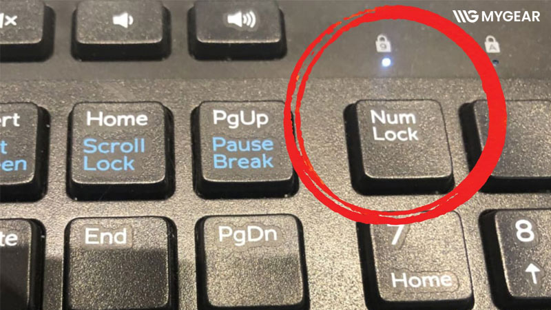 Khắc phục lỗi không đánh được số trên bàn phím laptop HP