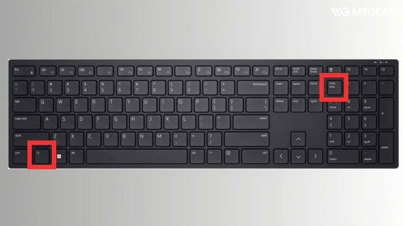 Cách sửa lỗi không đánh được số trên bàn phím laptop Dell hiệu quả 10 Cách sửa lỗi không đánh được số trên bàn phím laptop Dell hiệu quả