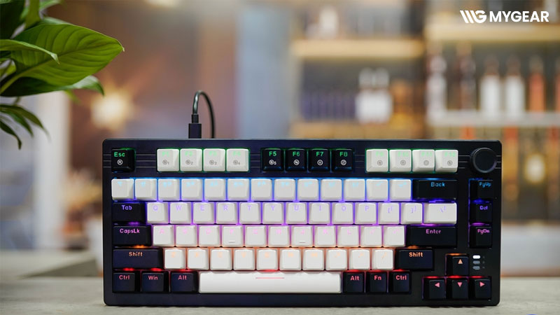 TOP 15 bàn phím cơ giá rẻ, lựa chọn tốt nhất 2026