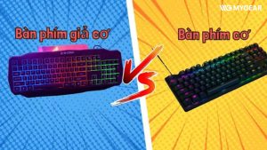 phan biet ban phim co va gia co 2