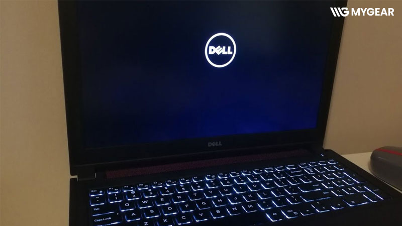 Hướng dẫn các bước thay panel màn hình Dell chi tiết