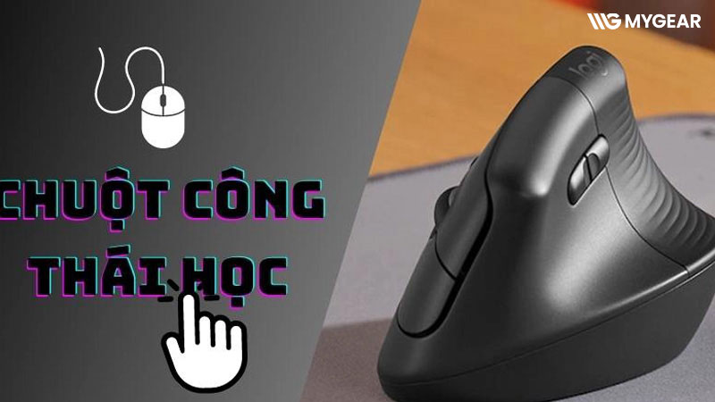 Chuột công thái học là gì? 10 chuột công thái học đáng mua hiện nay 13 Chuột công thái học là gì? 10 chuột công thái học đáng mua hiện nay