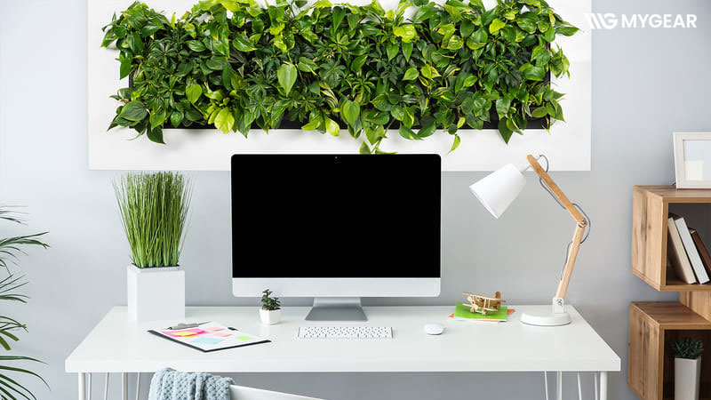 TOP 12 món phụ kiện và đồ trang trí máy tính được yêu thích nhất